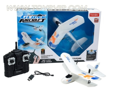 Two-way remote control airplane glider (double)