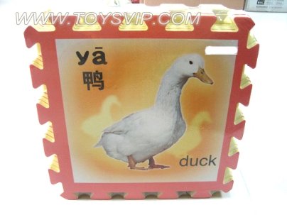 8片动物EVA坐垫