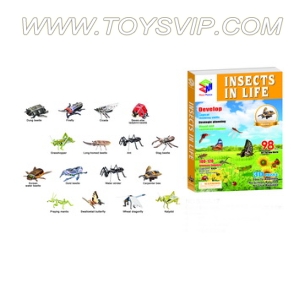 Insects combination puzzle（98PCS）