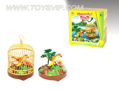 Large bird cage magpie plus plus tree