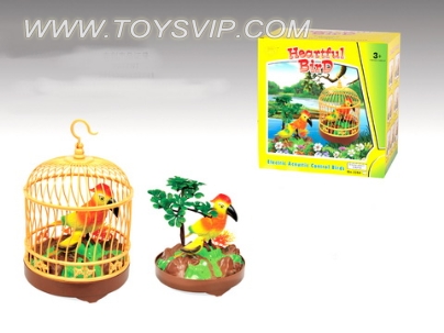 Large bird cage parrot beak big bird plus plus tree