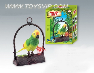 Electronic Single parrot hanging seat