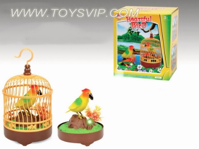 Small single bird cage small parrots