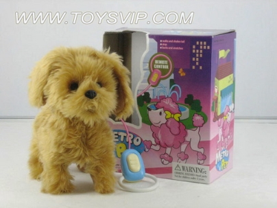 Electric plush poodle