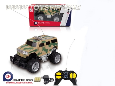 1:24 remote control cars (including electricity)