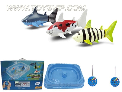 Remote control shark with plastic pool