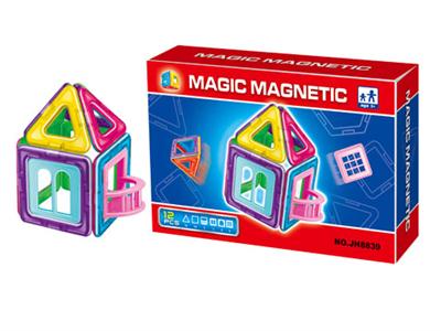 Variety of magnetic force piece (12pcs)