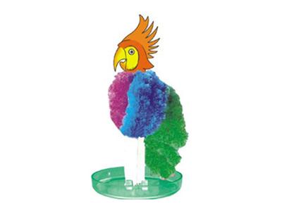 A clever parrot (medium)