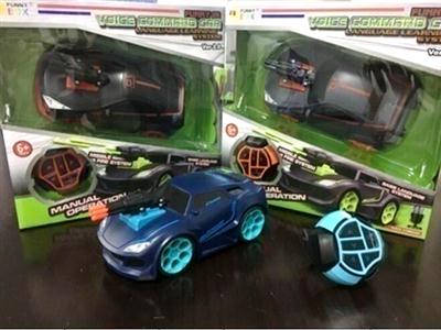 Voice activated vehicle