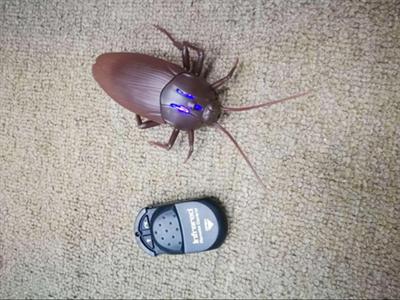 Remote cockroaches