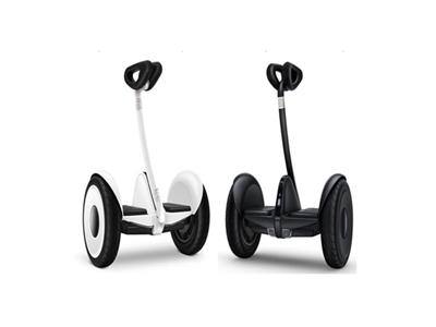 10.5 inch balance car