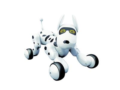 Cool dog