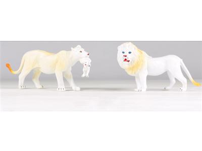 White lion (single) + white lioness bite (single)