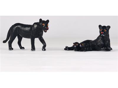 Panther well (single) + Panther female pups (single)