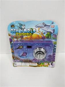 Ocean Viewer (Projection Camera)