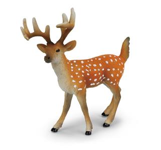 Male sika deer (new)