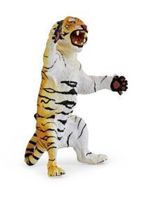 Roaring male tiger